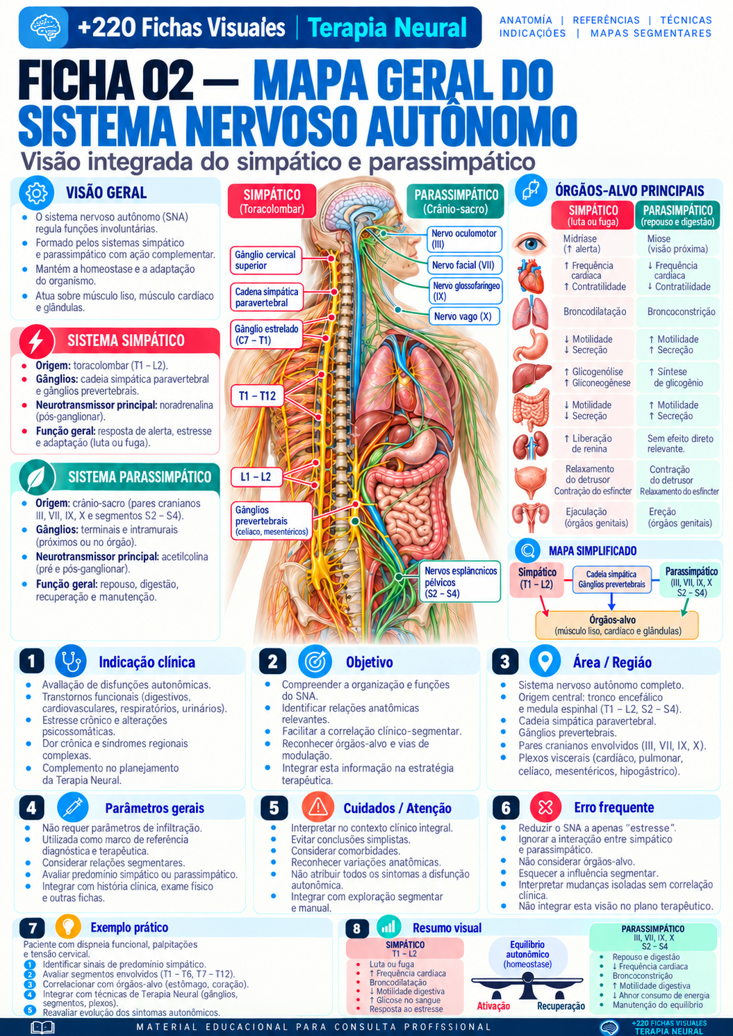 Autonomic Nervous System Overview