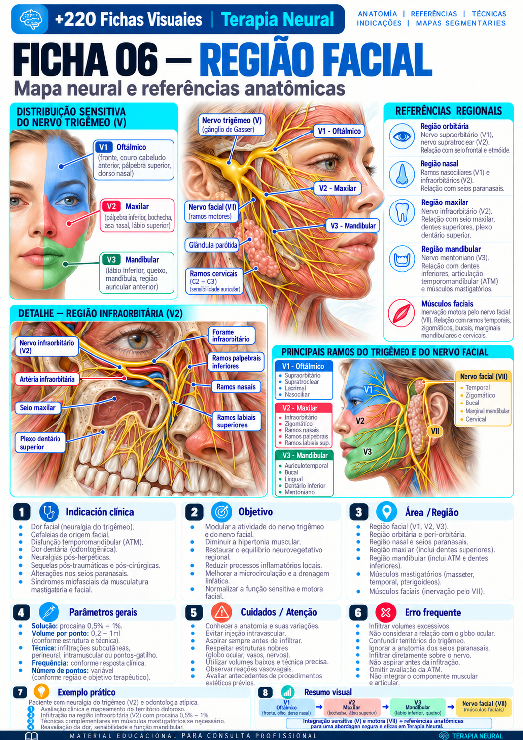 Facial Region