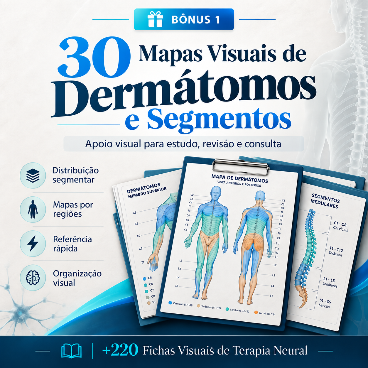 Visual Maps of Dermatomes and Segments