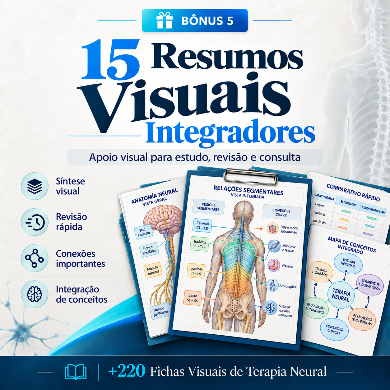 Integrated Visual Summaries