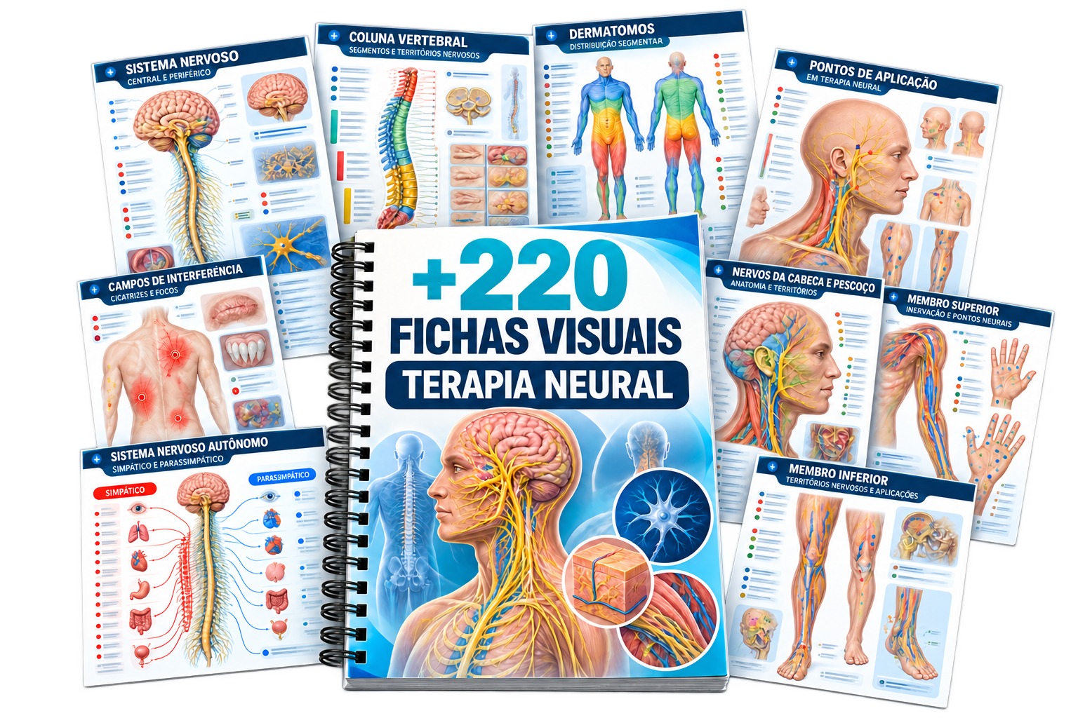 Overview of the 220+ Neural Therapy Visual Cards system using artwork from the Portuguese edition